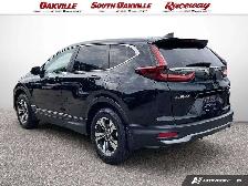 2022 Honda CR-V LX | AWD | HEATED SEATS | LANE ASSIST | CARPLAY - Photo 4