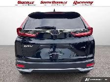 2022 Honda CR-V LX | AWD | HEATED SEATS | LANE ASSIST | CARPLAY - Photo 5