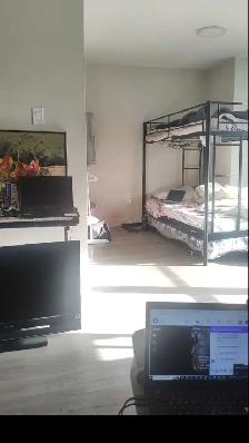 TORONTO ROOMS MIDTOWN STUDY ABROAD INTERNATIONAL STUDENT HOUSING