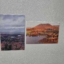 Custom Magnets