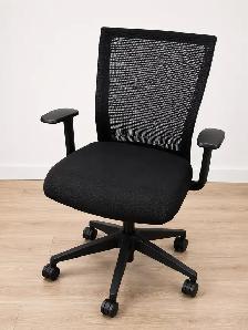 Freeway Office Chair | Excellent Condition | $200 Each