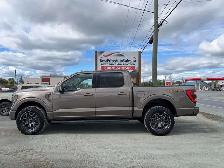2021 Ford F 150 Tremor - Photo 3