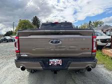 2021 Ford F 150 Tremor - Photo 5