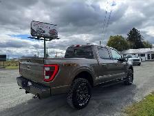 2021 Ford F 150 Tremor - Photo 8