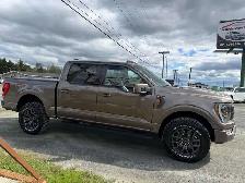 2021 Ford F 150 Tremor - Photo 9