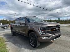 2021 Ford F 150 Tremor - Photo 10