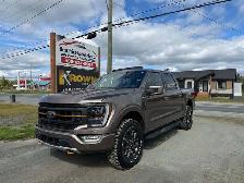 2021 Ford F 150 Tremor - Photo 12