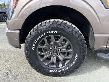 2021 Ford F 150 Tremor - Photo 13