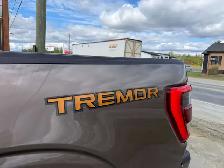 2021 Ford F 150 Tremor - Photo 14