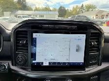 2021 Ford F 150 Tremor - Photo 33