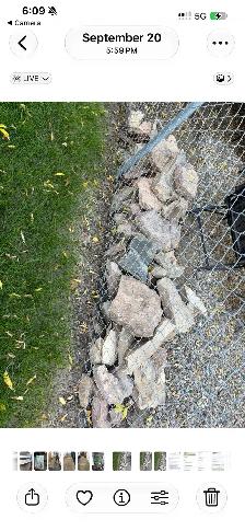 flagstone rocks for sale - Photo 3