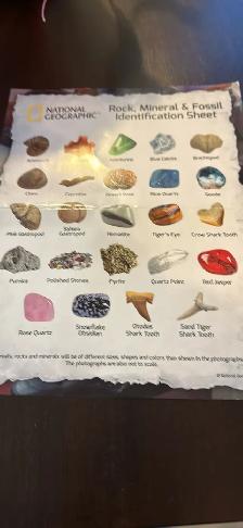 Rock, Mineral and Fossil Activity Kit - Photo 2