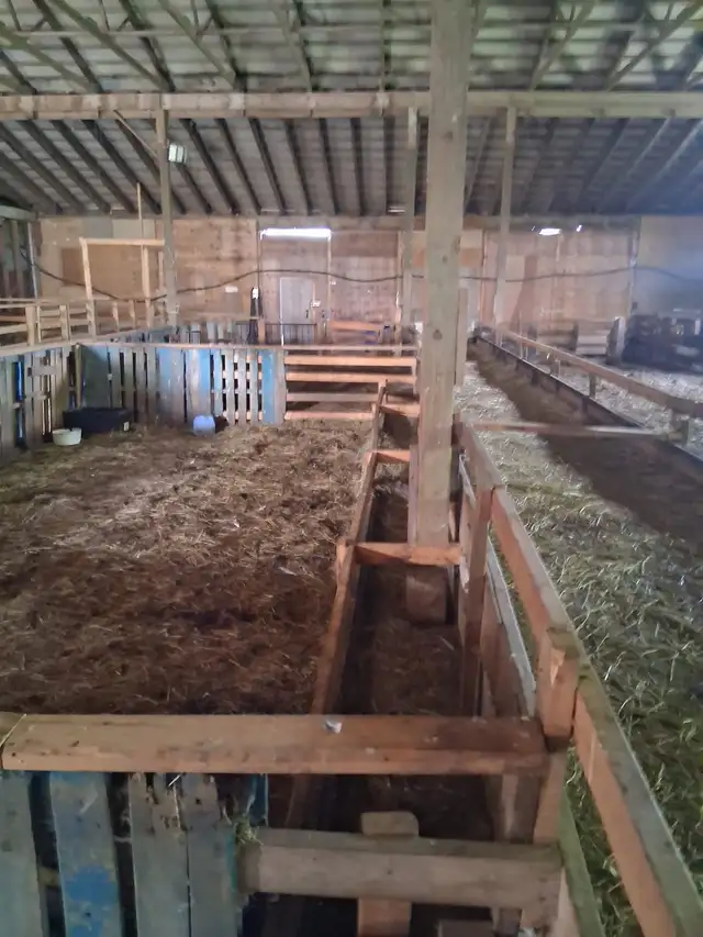 FOR RENT — 4,000 SQ. FT. LIVESTOCK BARN | VINBROOK, ON