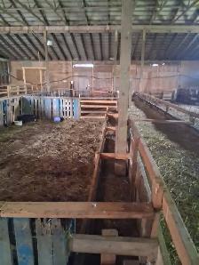 FOR RENT — 4,000 SQ. FT. LIVESTOCK BARN | VINBROOK, ON