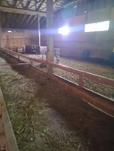 FOR RENT — 4,000 SQ. FT. LIVESTOCK BARN | VINBROOK, ON - Photo 2