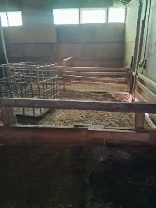 FOR RENT — 4,000 SQ. FT. LIVESTOCK BARN | VINBROOK, ON - Photo 3