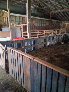 FOR RENT — 4,000 SQ. FT. LIVESTOCK BARN | VINBROOK, ON - Photo 4