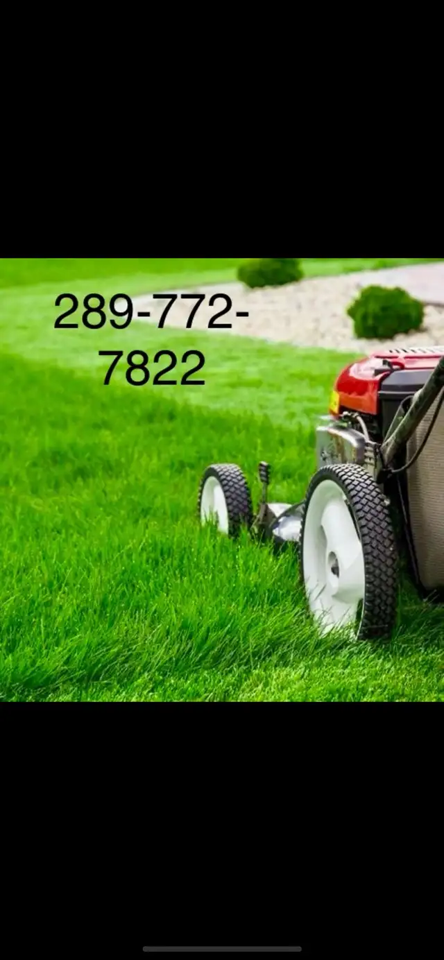 grass cut and clean up 289-772-7822