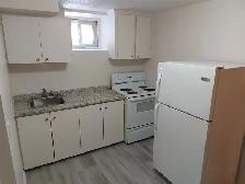 Centretown Basement ALL-INCLUSIVE Bachelor/Studio (353 Frank St) - Photo 2
