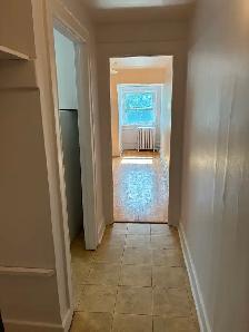 Large Sandy Hill Bachelor/Studio Apartment for Rent (259 Daly) - Photo 3