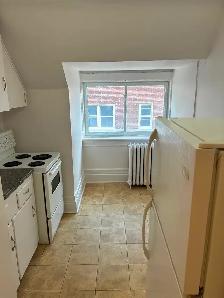 Large Sandy Hill Bachelor/Studio Apartment for Rent (259 Daly) - Photo 6