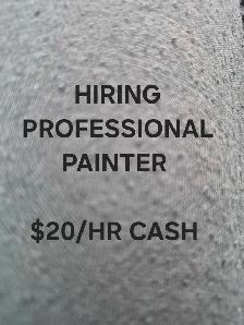 Hiring Professional Painter