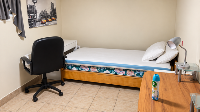 5 Minutes From University Of Windsor (Availible now)