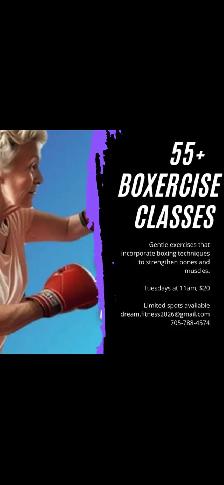 55  boxercise class