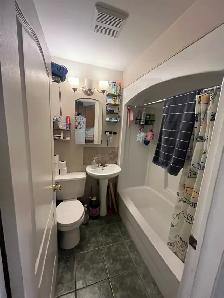 2 bedroom apartment central Hamilton - Photo 6