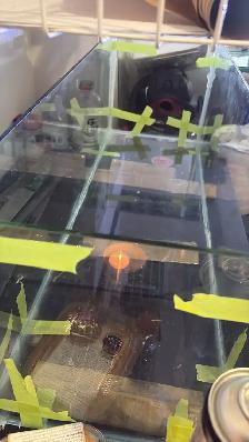 freshly rebuilt aquariums. - Photo 2