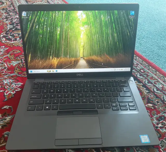 Windows Laptop