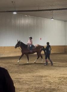 Red Deer Horse Boarding - Photo 7