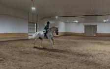 Red Deer Horse Boarding - Photo 8