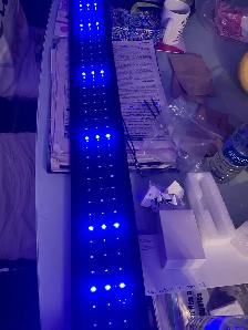LED LIGHTING SYSTEM - Photo 4