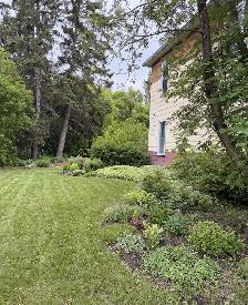 Tree Removal - Photo 4