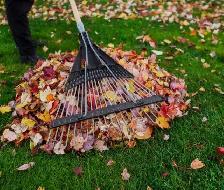 grass cutting & SOD installation