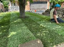 grass cutting & SOD installation - Photo 2