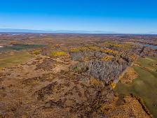 Newly Subdivided Versatile 79.84 acre parcel in Armstrong! - Photo 4