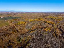 Newly Subdivided Versatile 79.84 acre parcel in Armstrong! - Photo 5
