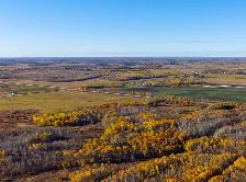 Newly Subdivided Versatile 79.84 acre parcel in Armstrong! - Photo 6