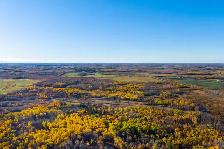 Newly Subdivided Versatile 79.84 acre parcel in Armstrong! - Photo 7