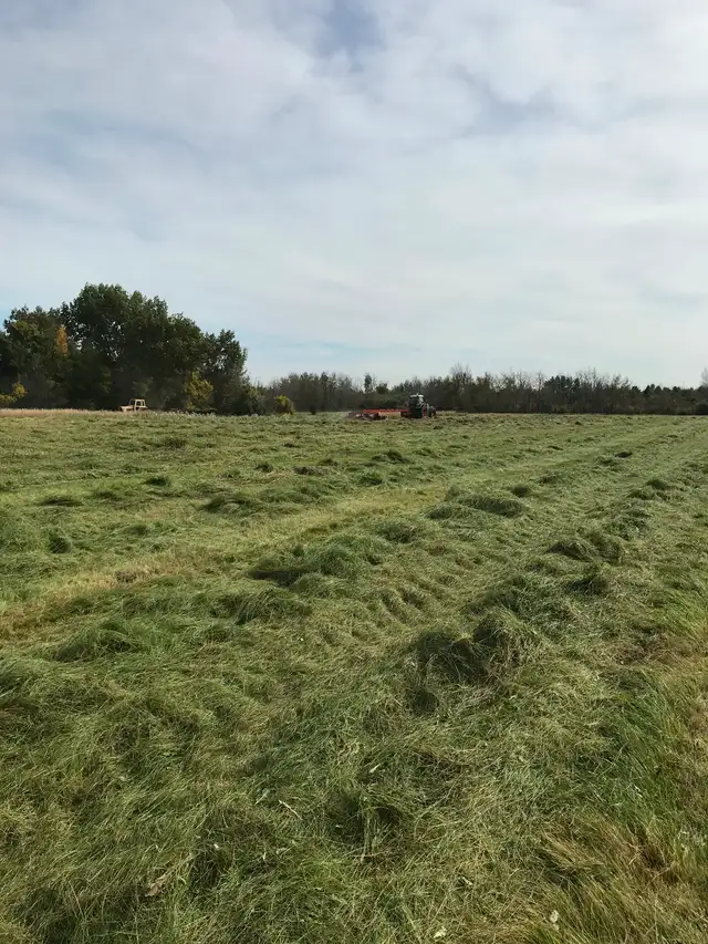 someone to bale hay