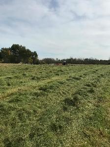 someone to bale hay