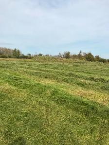 someone to bale hay - Photo 2