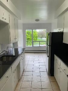 Large One Bedroom Apartment in Woodstock - Photo 2