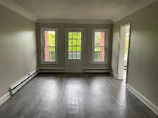 Large One Bedroom Apartment in Woodstock - Photo 4
