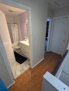 4 min to Algonquin. Woodroffe/Majestic, all inclusive. Oct.1st - Photo 4