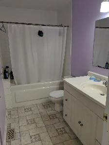 4 min to Algonquin. Woodroffe/Majestic, all inclusive. Oct.1st - Photo 5