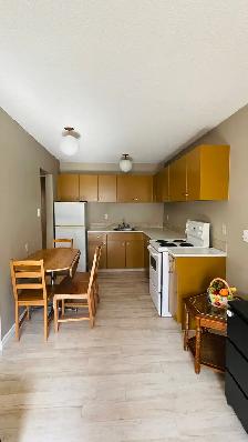 FOR RENT 1 BD apartment - 11916 105 St Edmonton (NAIT area) - Photo 3