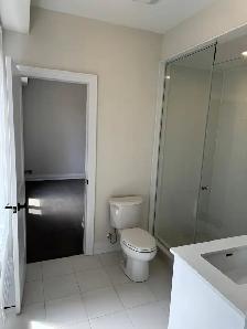 NEW EXTRA LARGE 2BDRM 1.5BATH WALK-OUT BASEMENT APARTMENT $2,450 - Photo 4